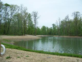 1692 Irish Road Dundee, MI 48131 - Photo 4 of 6 596106-3.JPG