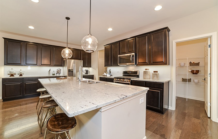 1166 Slade Road South Elgin, IL 60177 - Photo 3 of 15 Gallery Image 3