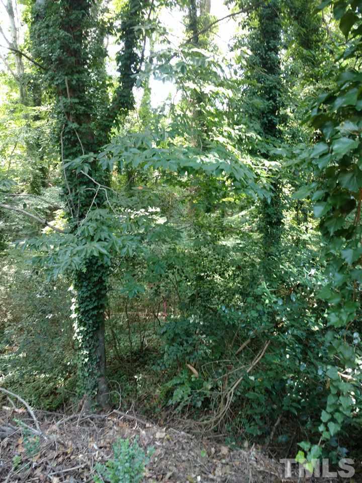 2809 Claremont Road Raleigh, NC 27608 - Photo 2 of 3 a view of a lush green forest
