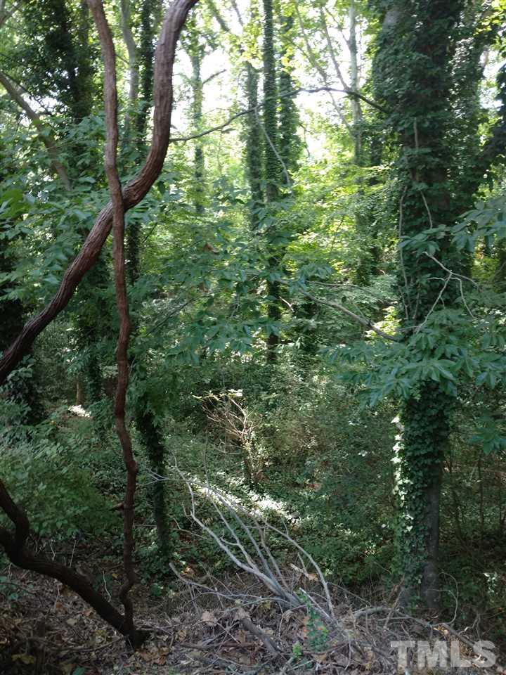 2809 Claremont Road Raleigh, NC 27608 - Photo 3 of 3 a view of a forest filled with trees