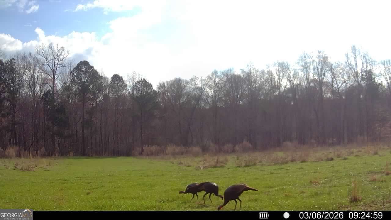 2190 Reese Road Rutledge, GA 30663 - Photo 58 of 60 a view of a big yard