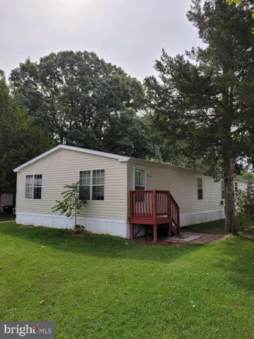 a view of backyard with potted plants and large tree