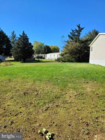 a view of a field with a tree