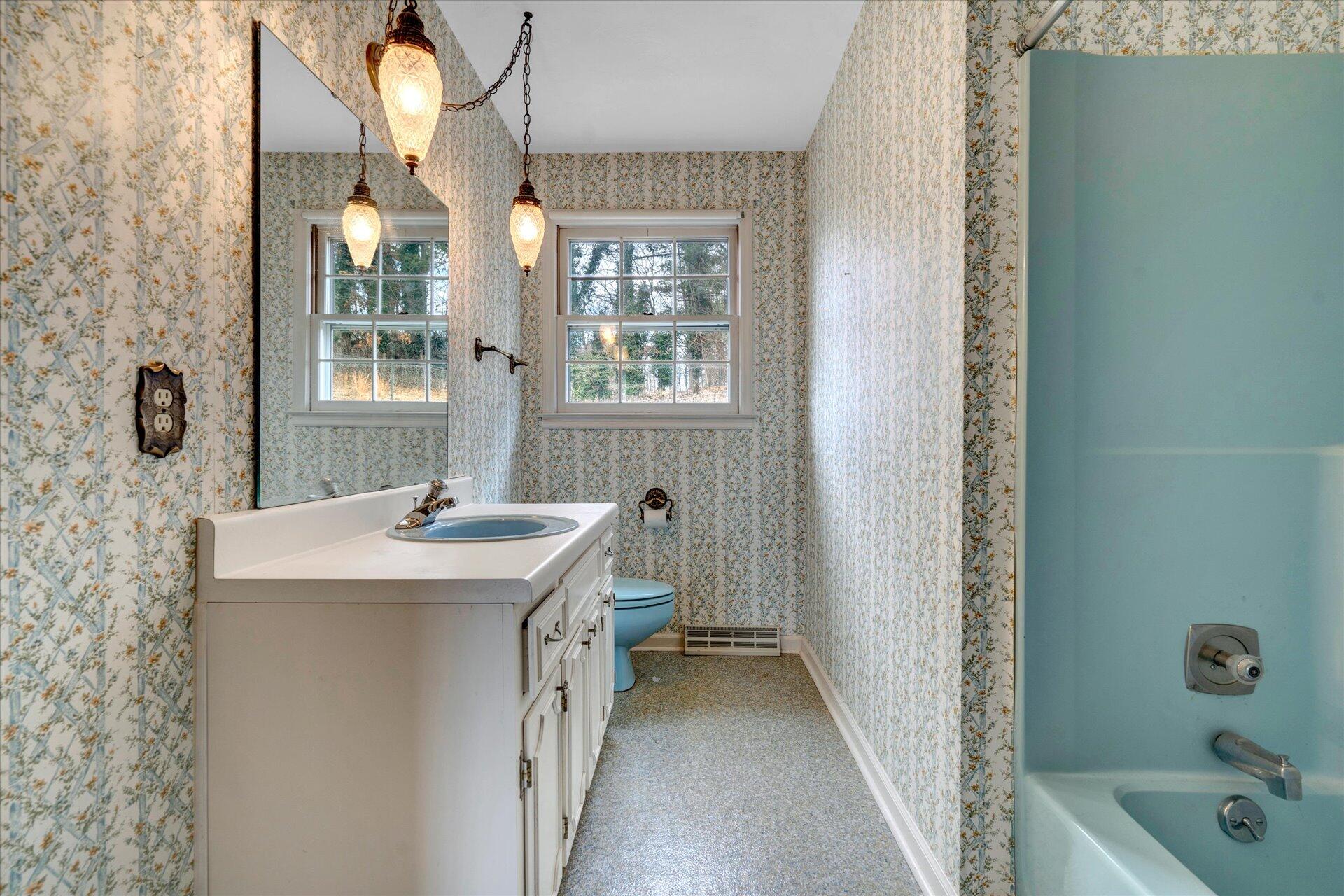 306 Ridgeview Road Blue Ridge, VA 24064 - Photo 20 of 30 a bathroom with a sink a toilet and shower