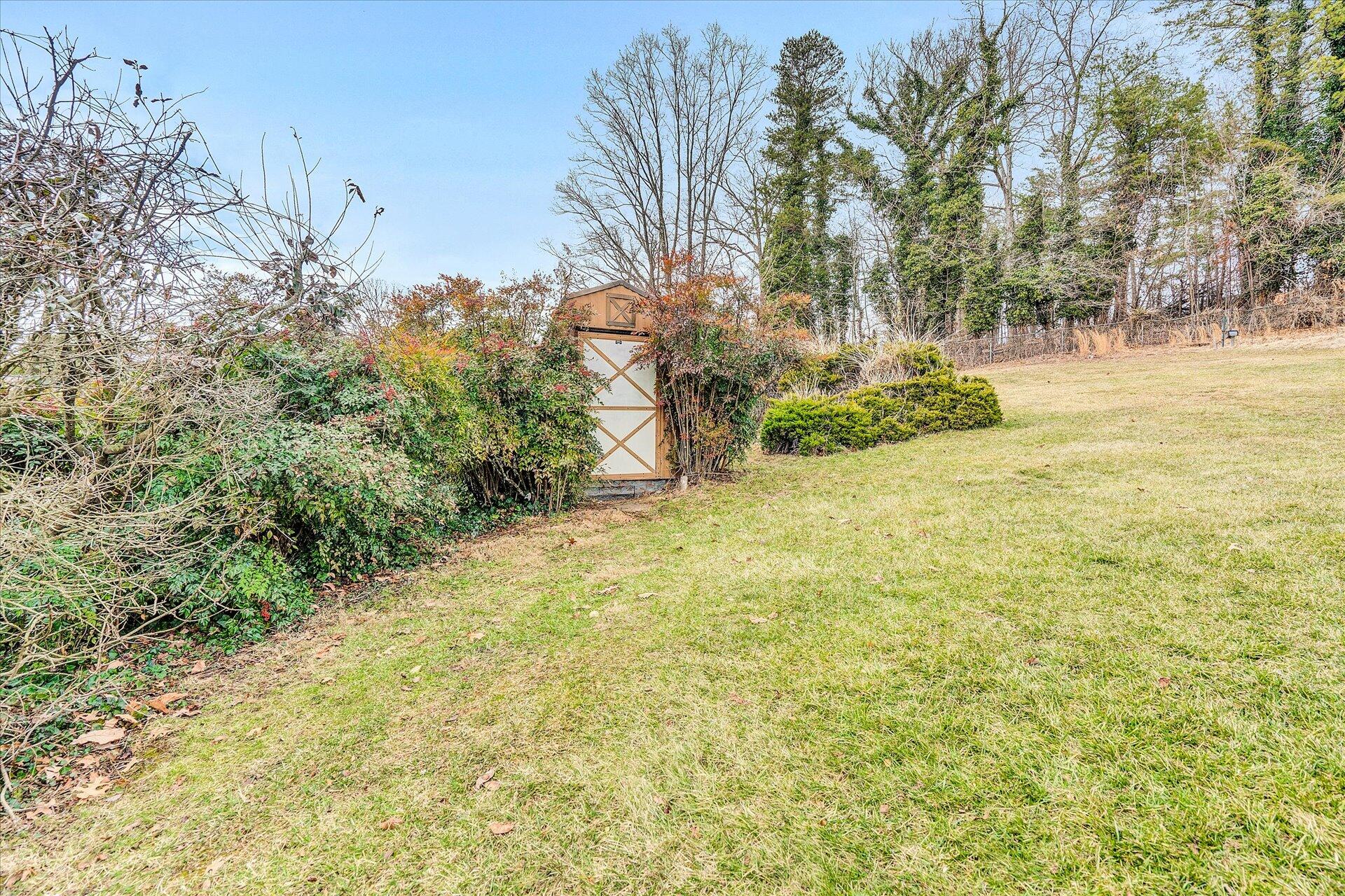306 Ridgeview Road Blue Ridge, VA 24064 - Photo 27 of 30 a view of yard with tree