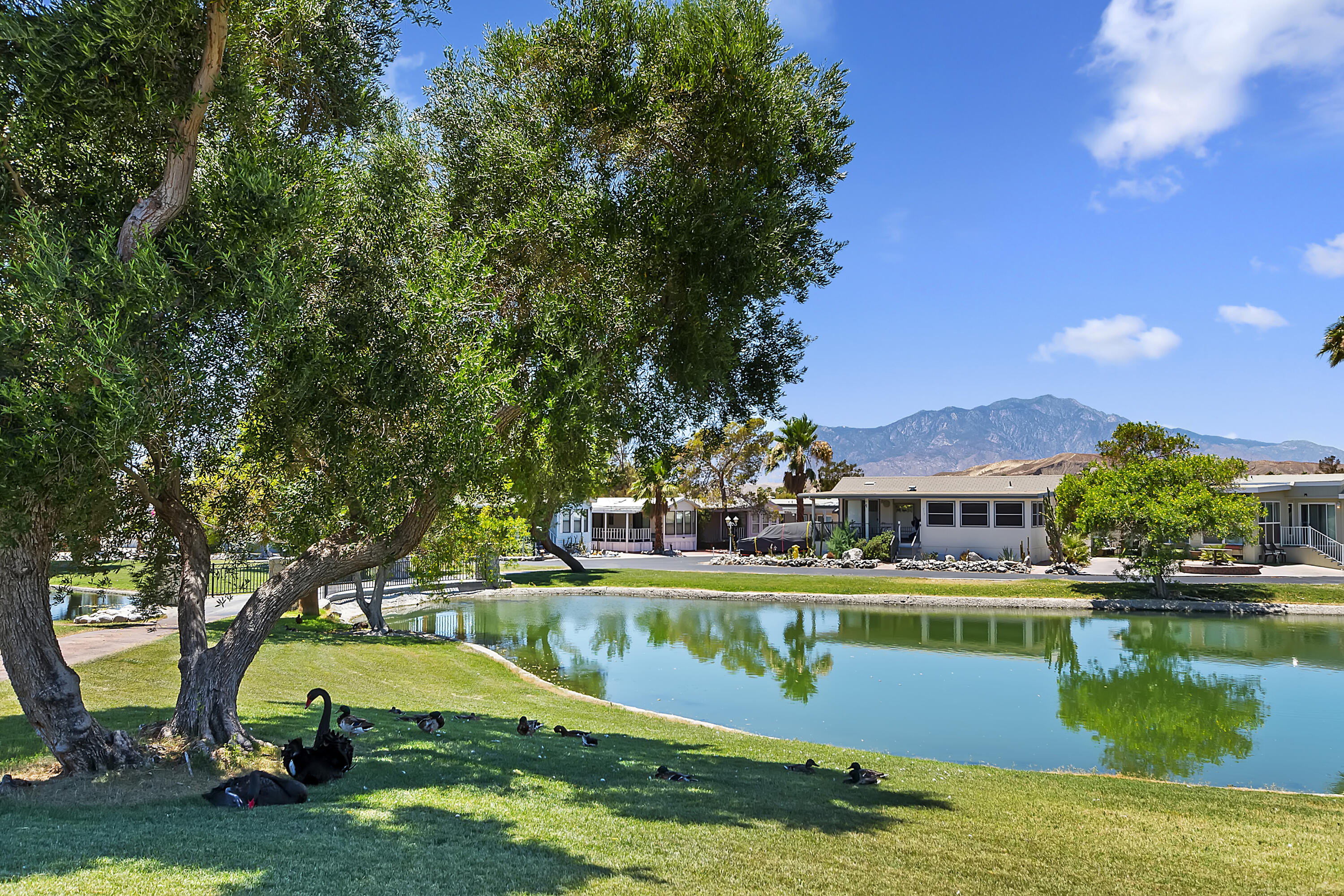 74711 Dillon Road, Unit 600 Desert Hot Springs, CA 92241 - Photo 46 of 51 SV Main Lake View