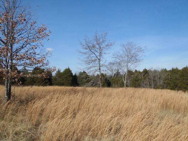 3550 Murfreesboro Road Lebanon, TN 37090 - Photo 15 of 20
