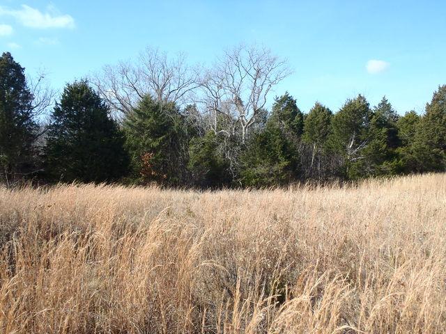 3550 Murfreesboro Road Lebanon, TN 37090 - Photo 16 of 20