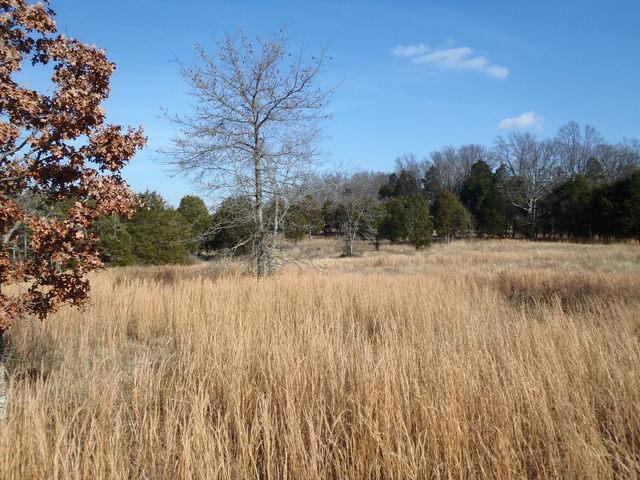 3550 Murfreesboro Road Lebanon, TN 37090 - Photo 17 of 20
