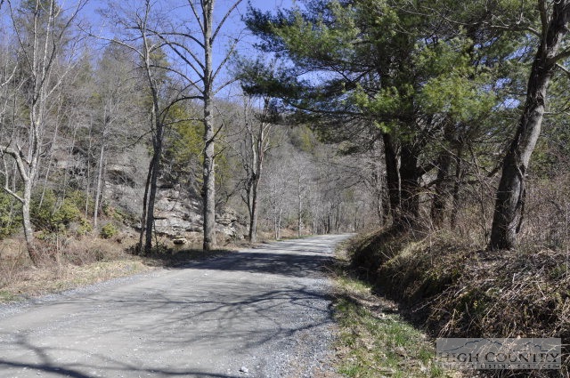 Watauga River Road Sugar Grove, NC 28679 - Photo 2 of 3 a view of a yard with trees