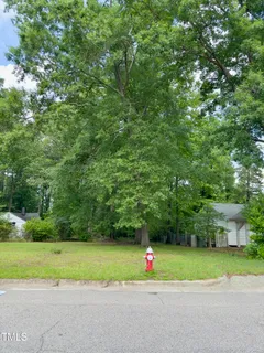 a green field with lots of trees in it