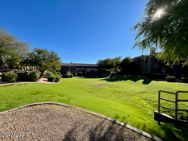 a view of a garden with a bench in the garden