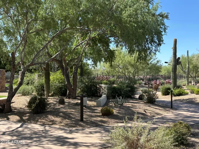 a view of a park with large trees