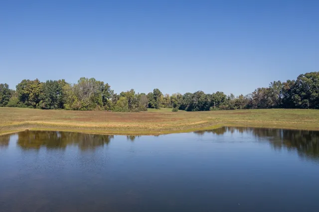 a view of a lake with palm trees and lake
