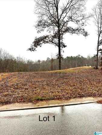 $40,000 | 25 Olivia Lane, Unit 1, Woodstock, AL 35188