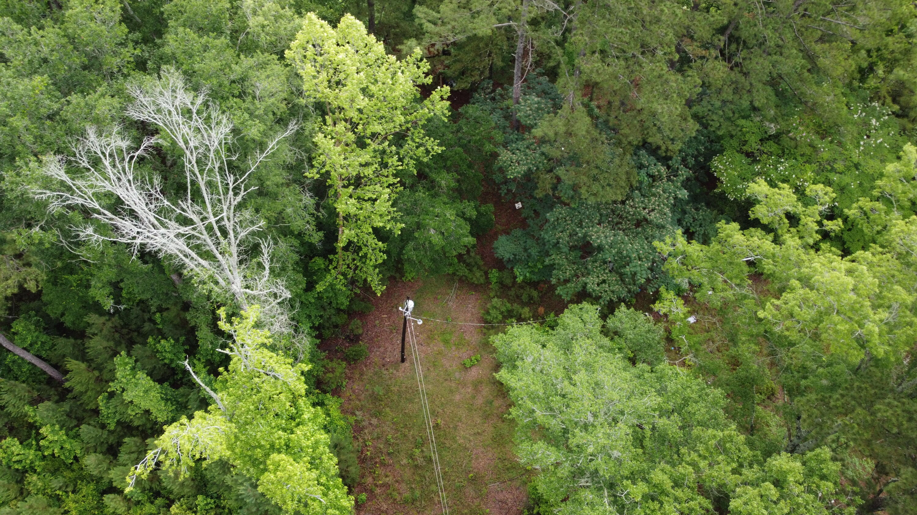 DJI_0518