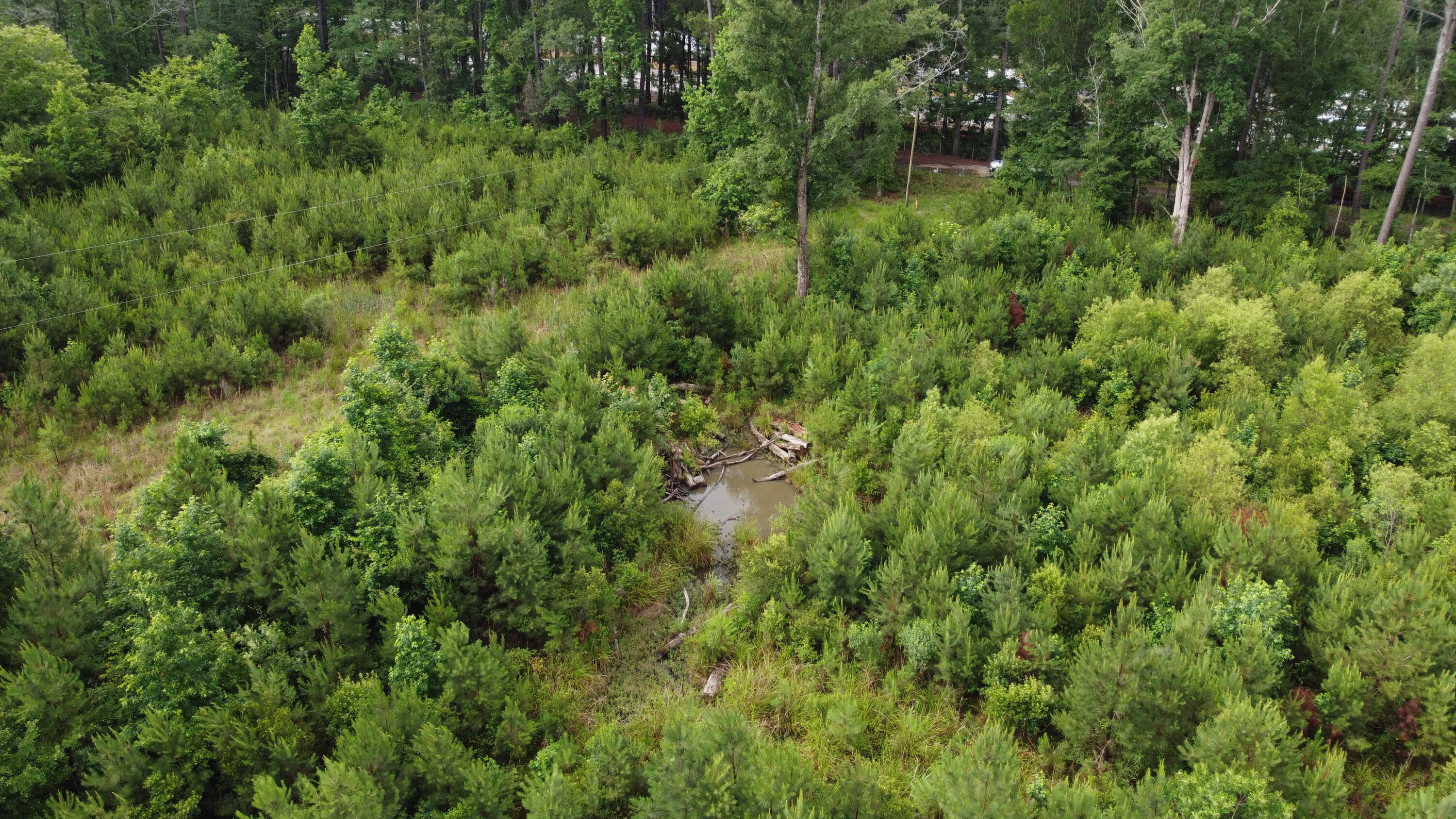 126 Batten Way Ridgeville, SC 29472 - Photo 13 of 25 DJI_0513