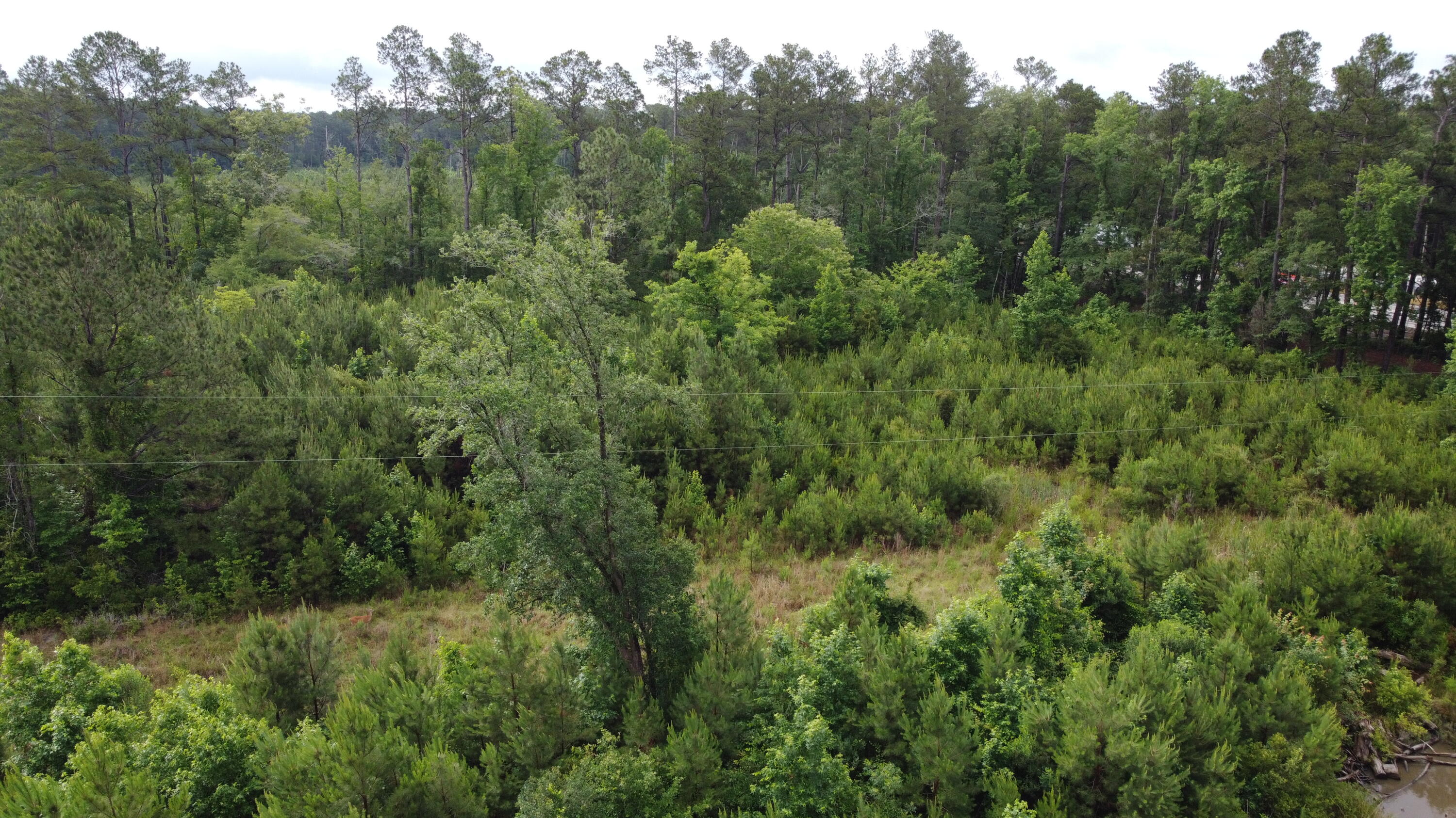 126 Batten Way Ridgeville, SC 29472 - Photo 14 of 25 DJI_0514