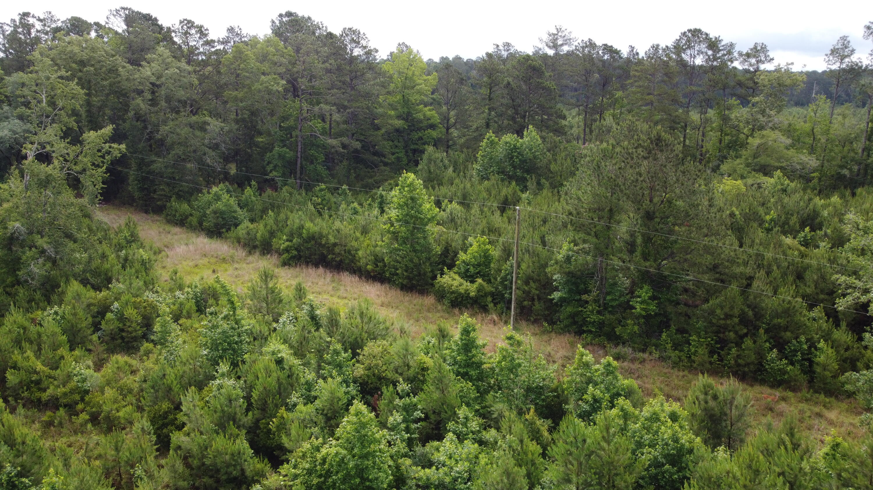 126 Batten Way Ridgeville, SC 29472 - Photo 15 of 25 DJI_0515