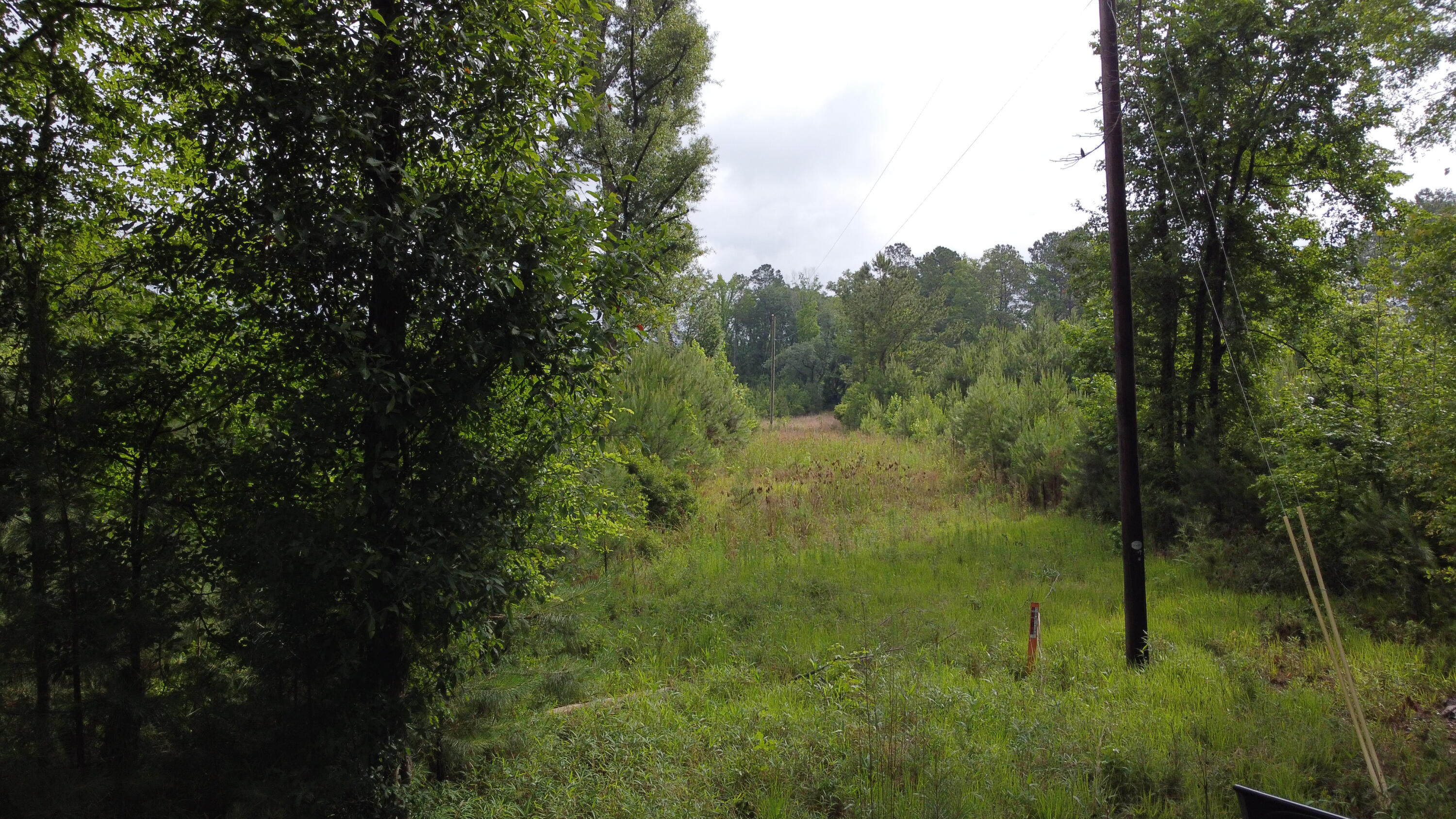 126 Batten Way Ridgeville, SC 29472 - Photo 2 of 25 DJI_0503