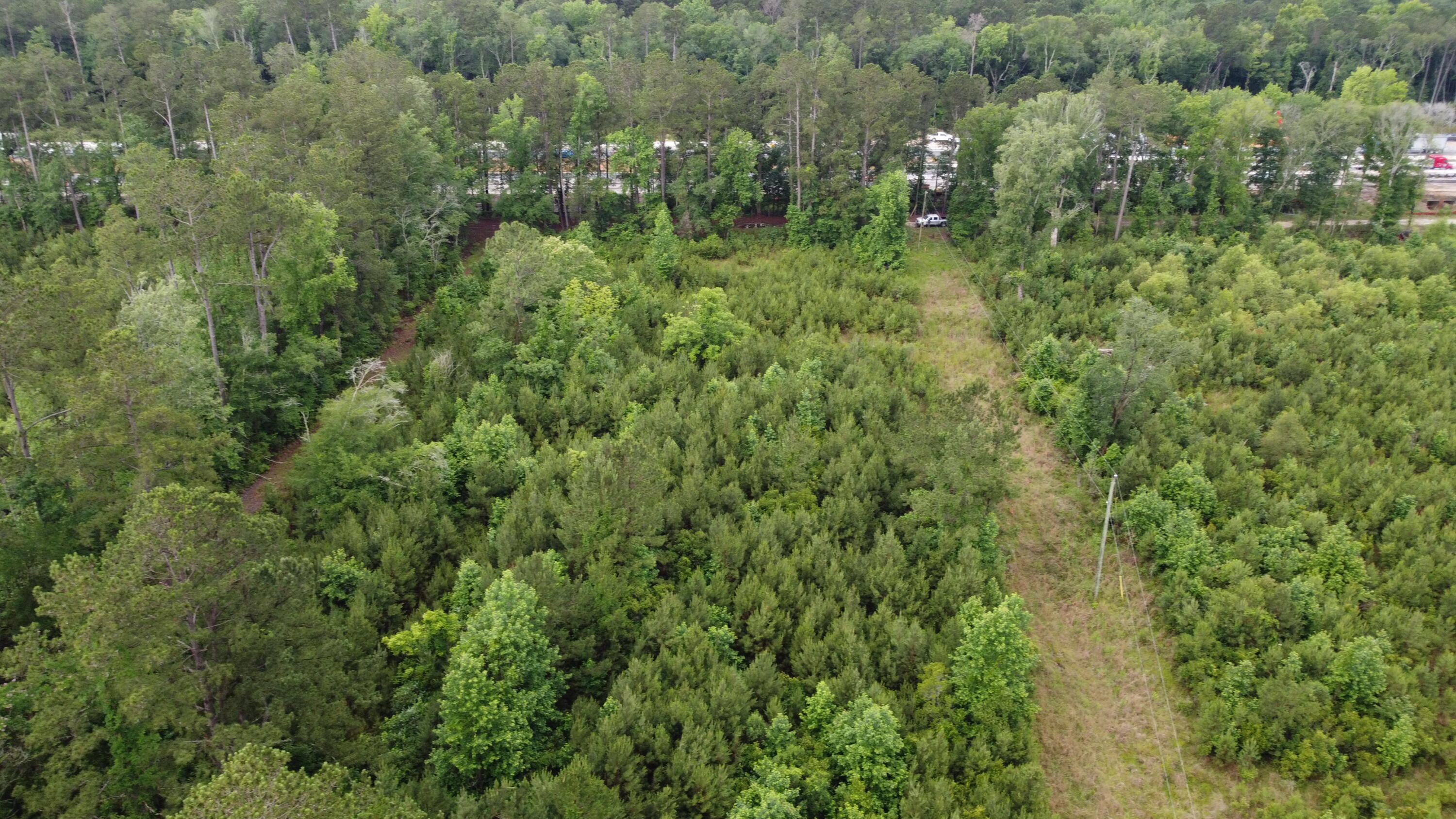 126 Batten Way Ridgeville, SC 29472 - Photo 23 of 25 DJI_0525