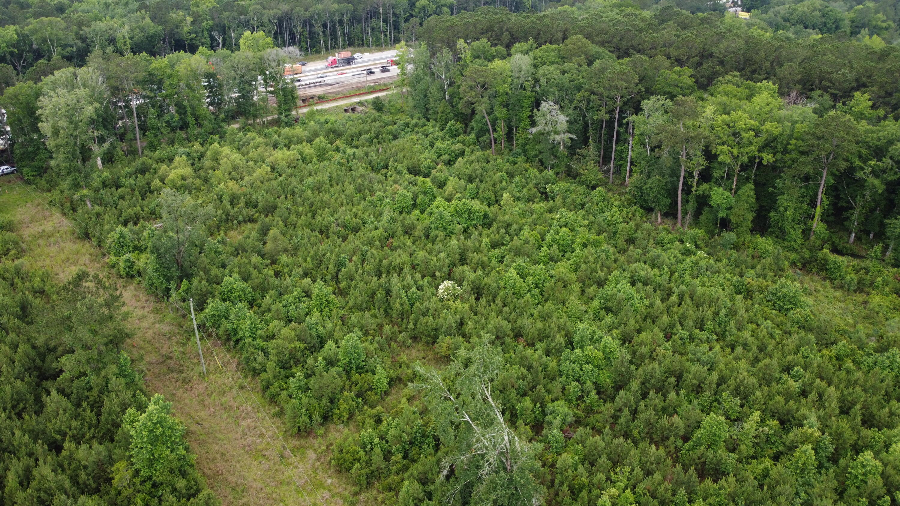 126 Batten Way Ridgeville, SC 29472 - Photo 24 of 25 DJI_0526