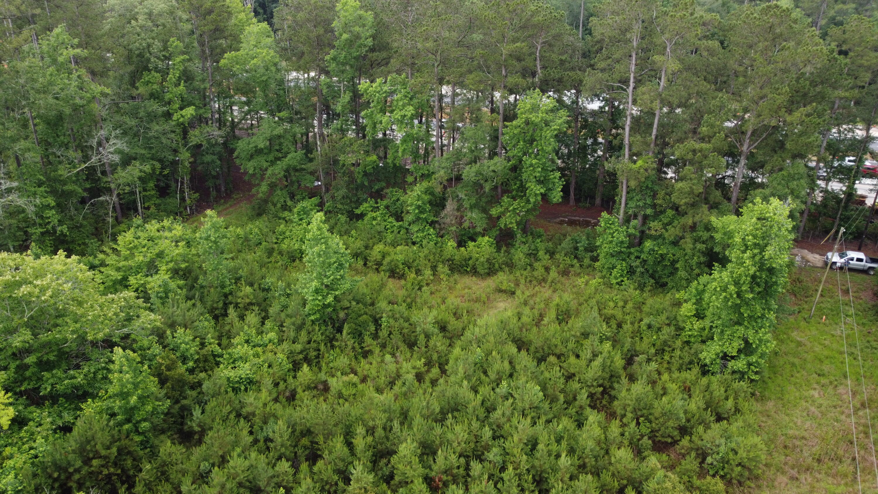 126 Batten Way Ridgeville, SC 29472 - Photo 25 of 25 DJI_0527