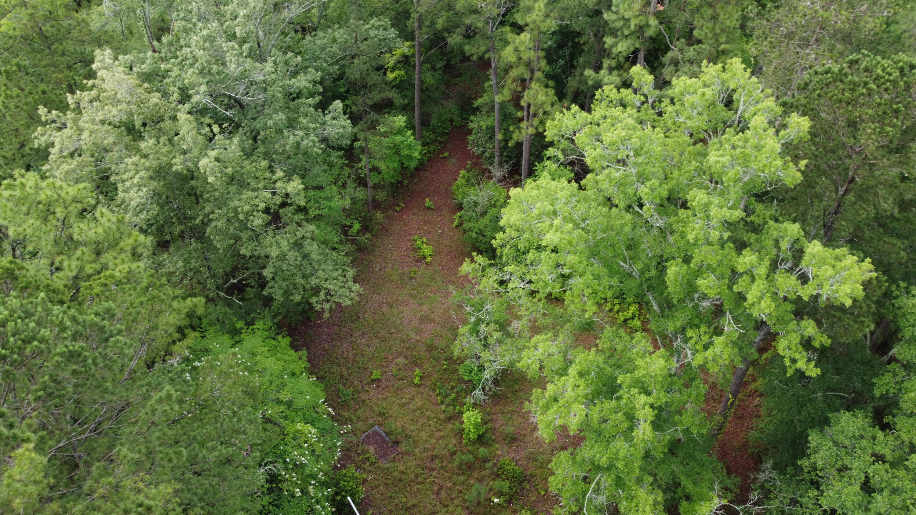 126 Batten Way Ridgeville, SC 29472 - Photo 3 of 25 DJI_0519