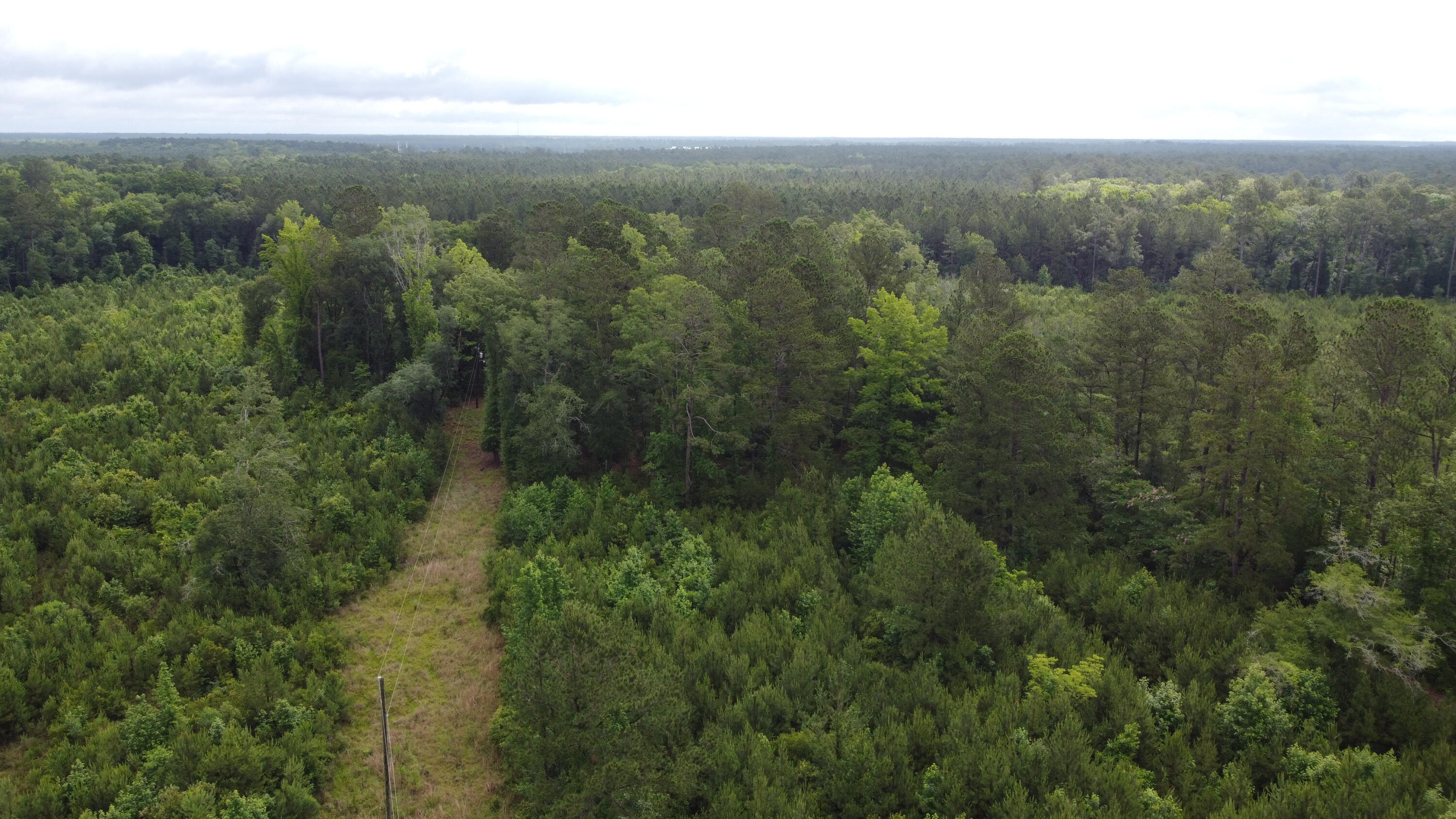 126 Batten Way Ridgeville, SC 29472 - Photo 10 of 25 DJI_0510