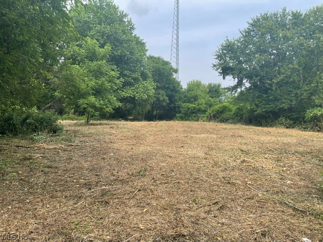 Brant Avenue Northwest Canton, OH 44708 - Photo 6 of 10 View of undeveloped land