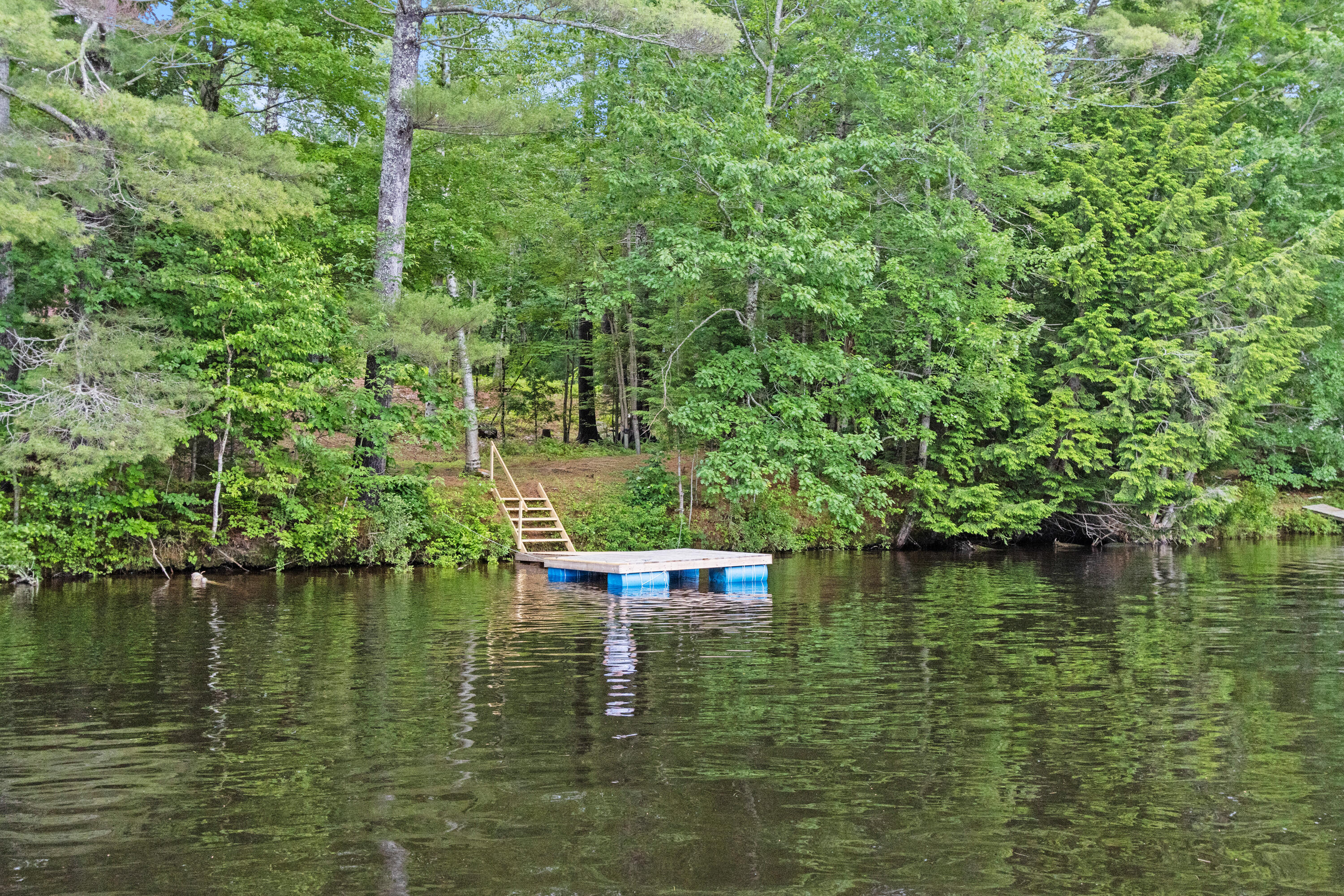 45 Bliss Road Standish, ME 04084 - Photo 17 of 55 20260623DM-71070