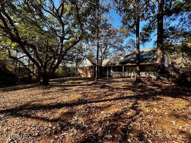 95 Ridgeland Drive Carriere, MS 39426 - Photo 7 of 27 Back yard