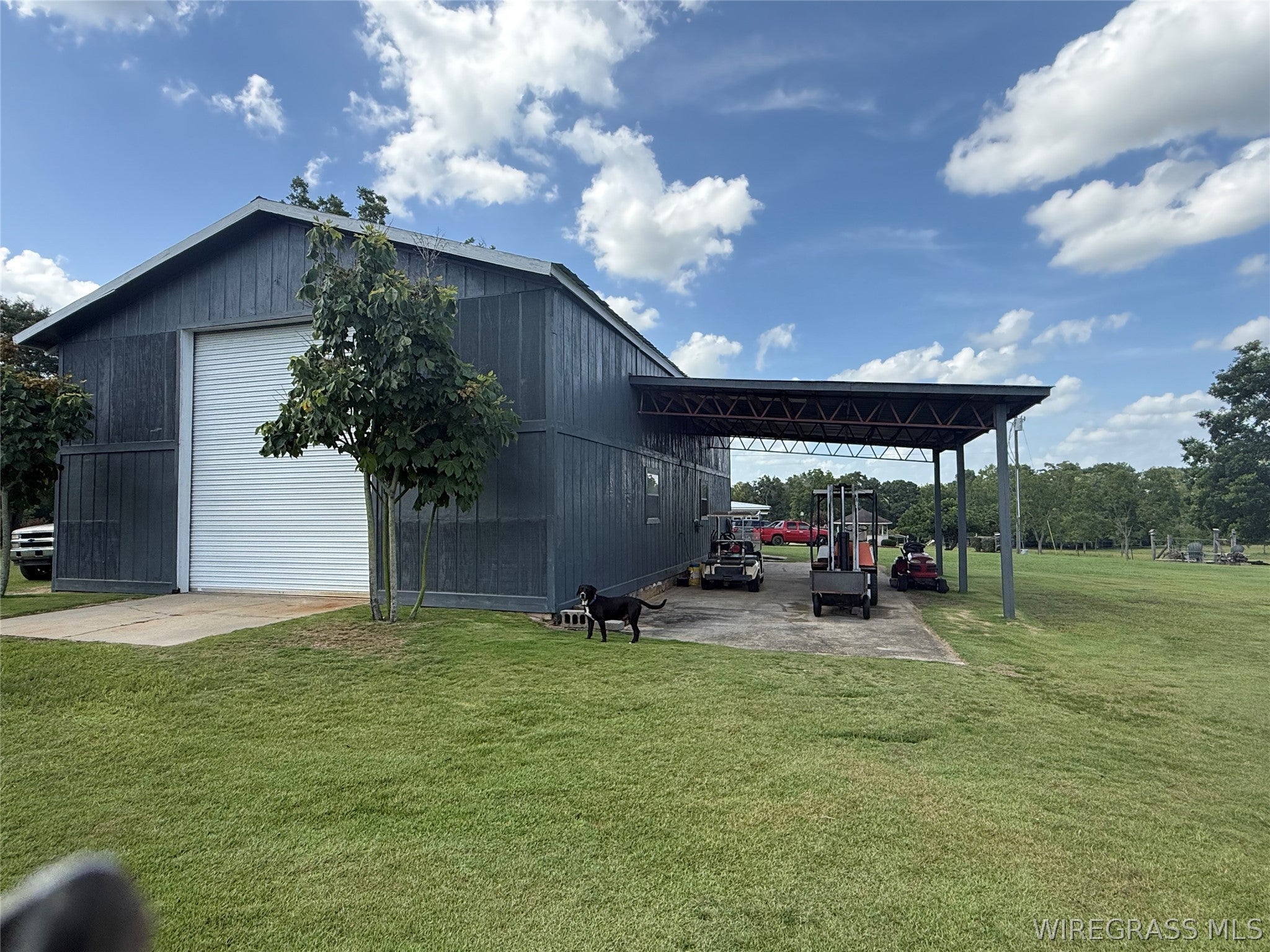 3451 Mitchell Road Slocomb, AL 36375 - Photo 62 of 72 Gallery Image 62