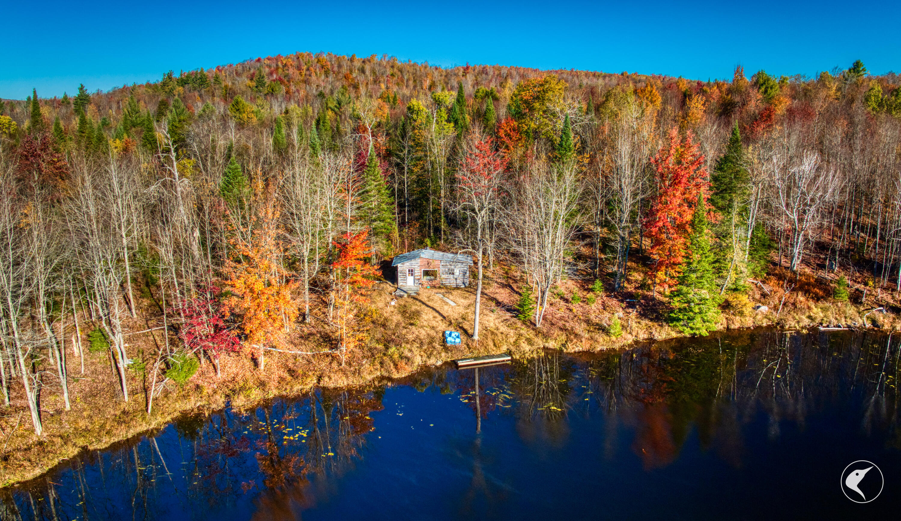 4891 State Rte 3 Newton Falls, NY 13666 - Photo 33 of 41 DJI_20241018092538_0101_D
