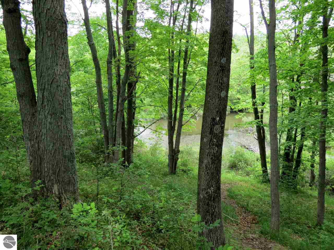5769 River Road Benzonia, MI 49616 - Photo 22 of 26 1781484-21.JPG