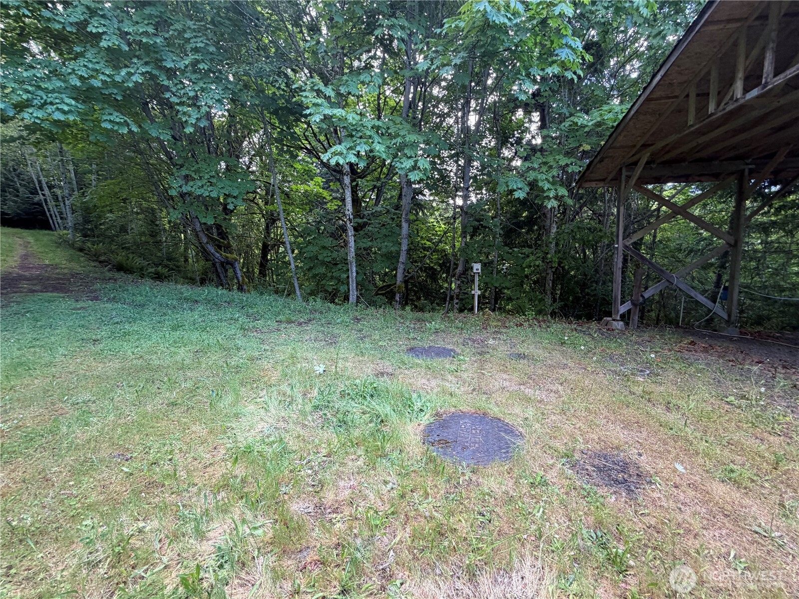 496 Last Camp Road Quilcene, WA 98376 - Photo 6 of 29