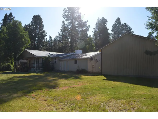a view of a big yard with palm trees