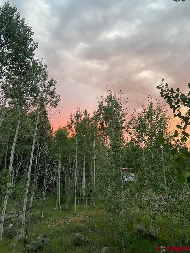 360 County Road 771 Ohio City, CO 81237 - Photo 37 of 37