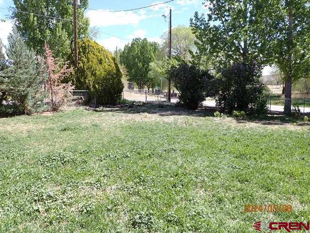 21196 Lanning Road Austin, CO 81410 - Photo 5 of 12 a view of a tree in front of a house