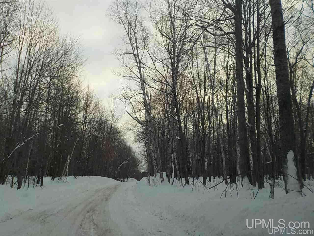 39.30-ac Armstrong Lake Road Crystal Falls, MI 49920 - Photo 24 of 24