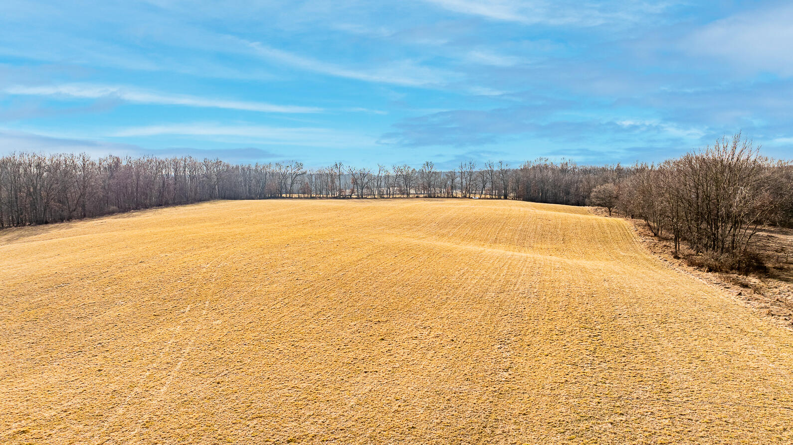 Brown Road Parma, MI 49269 - Photo 5 of 16 Brown Rd Parma MI (Aerial Photos)-04