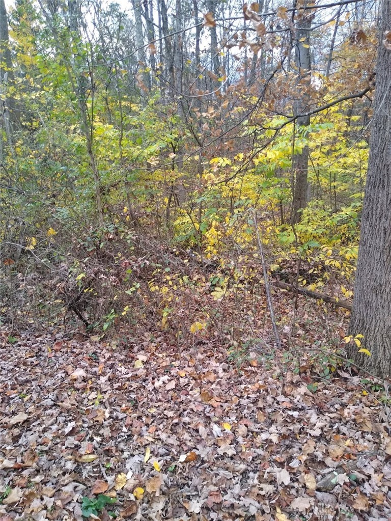 61000 Bolar Road McArthur, OH 45651 - Photo 3 of 5 Part of wooded property