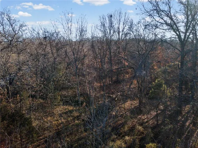 $120,000 | Sw Lot East Pine Street, Butler, MO 64730