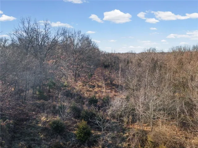 $120,000 | Sw Lot East Pine Street, Butler, MO 64730