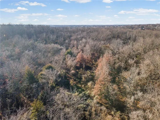 $120,000 | Sw Lot East Pine Street, Butler, MO 64730