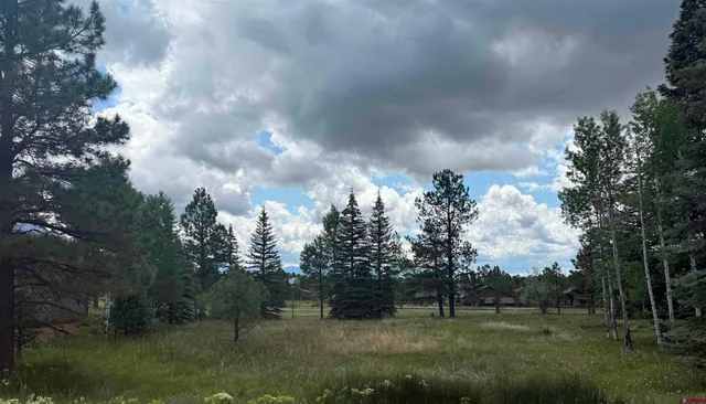 a view of a city with lush green forest