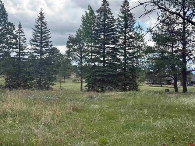 a backyard of a house with lots of green space and lake view