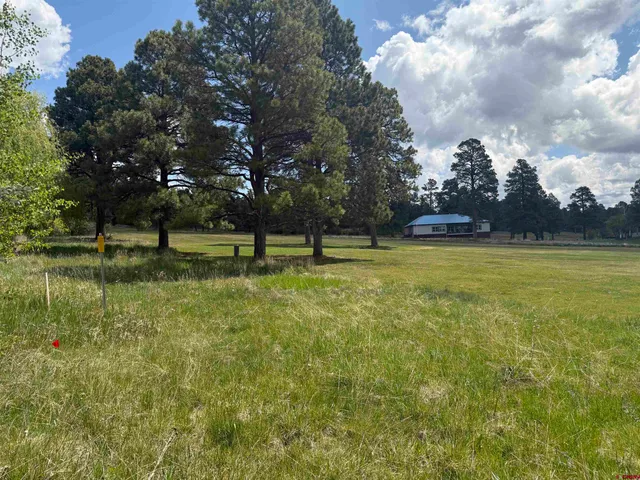 a view of outdoor space with swimming pool and green space