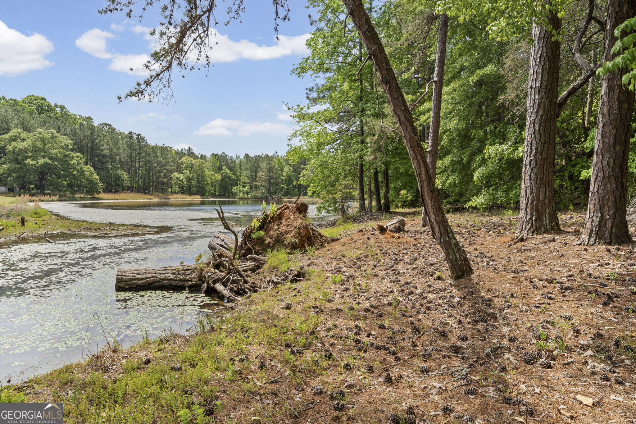 110 Handy Road Newnan, GA 30263 - Photo 40 of 98 Gallery Image 40