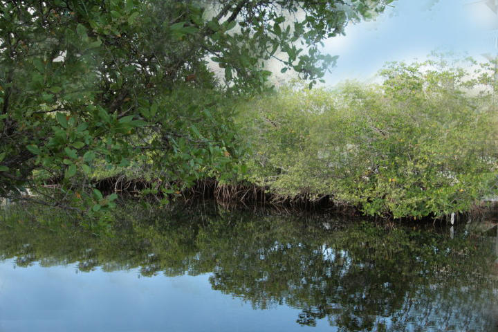209 La Paloma Road Key Largo, FL 33037 - Photo 1 of 3 Canal View